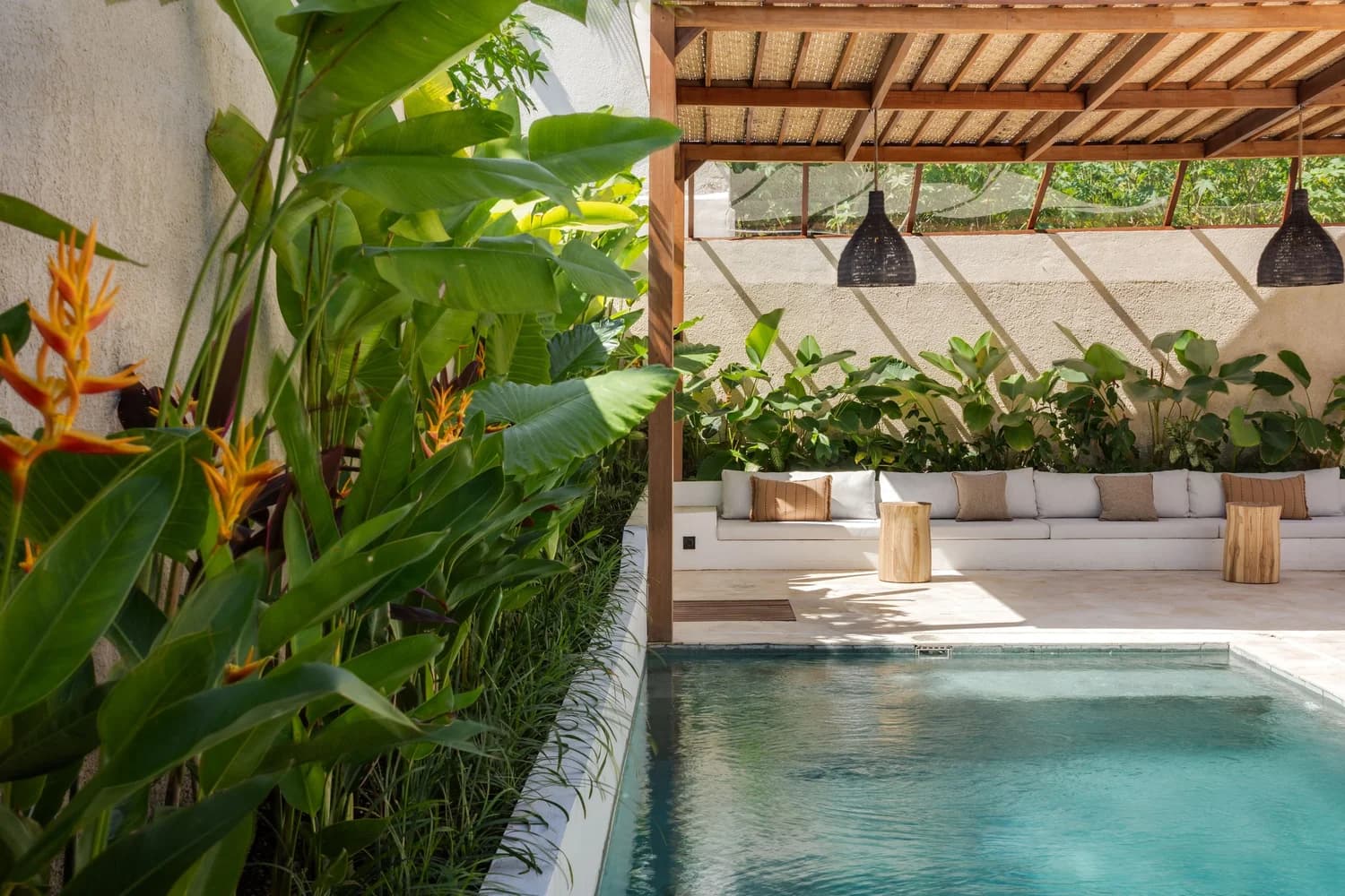 Pool and tropical garden at Villa La Sol